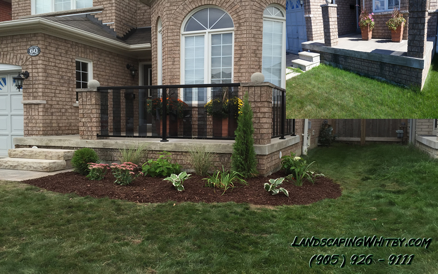 Front Yard Landscaping New Garden